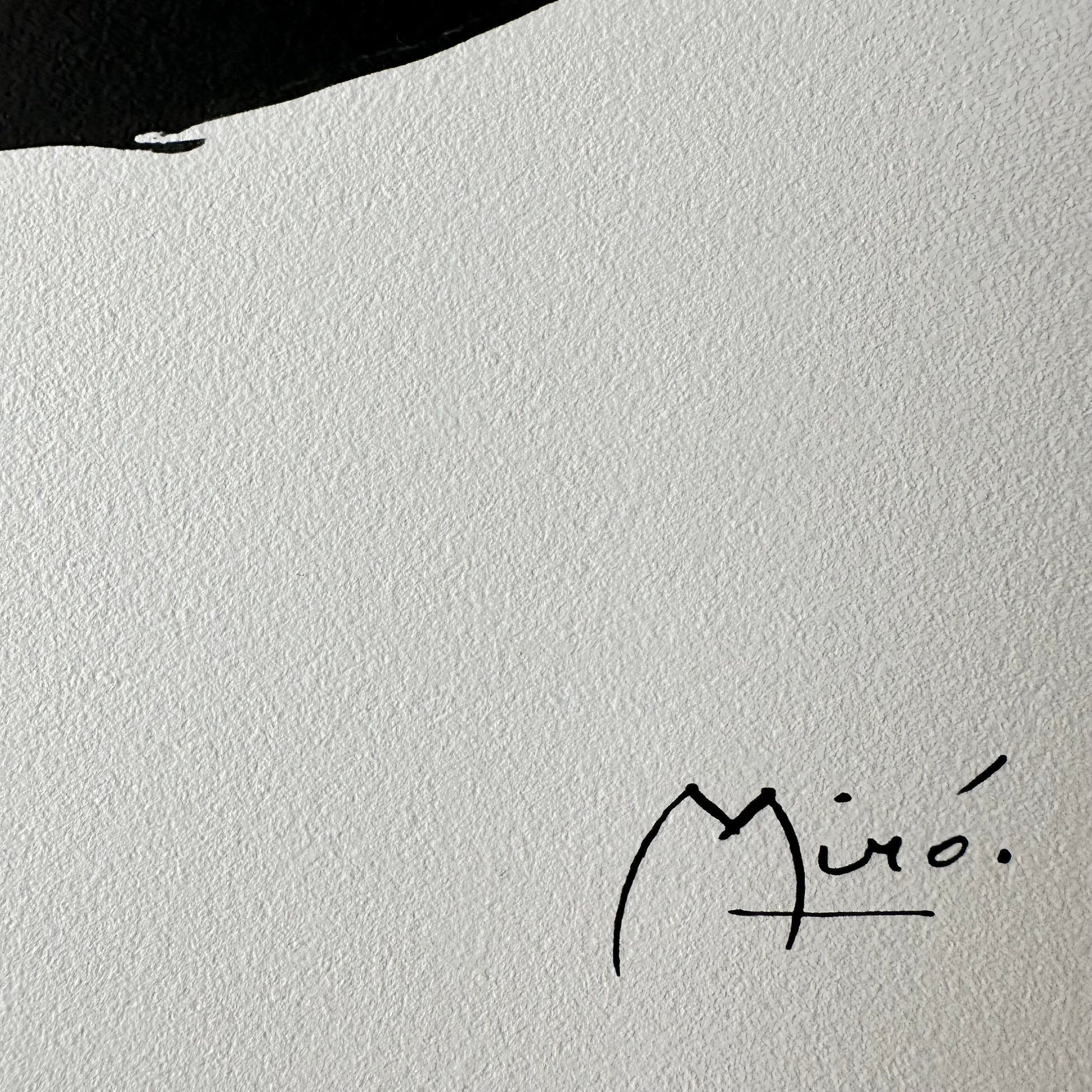 Joan miro