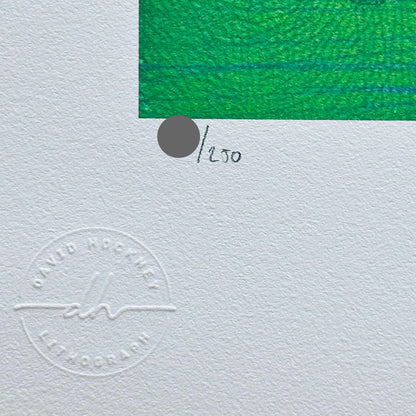 Genummerde editie DAVID HOCKNEY - Bos met 4 bomen - Certificaat - Limited lithografie - muurdecoratie - after